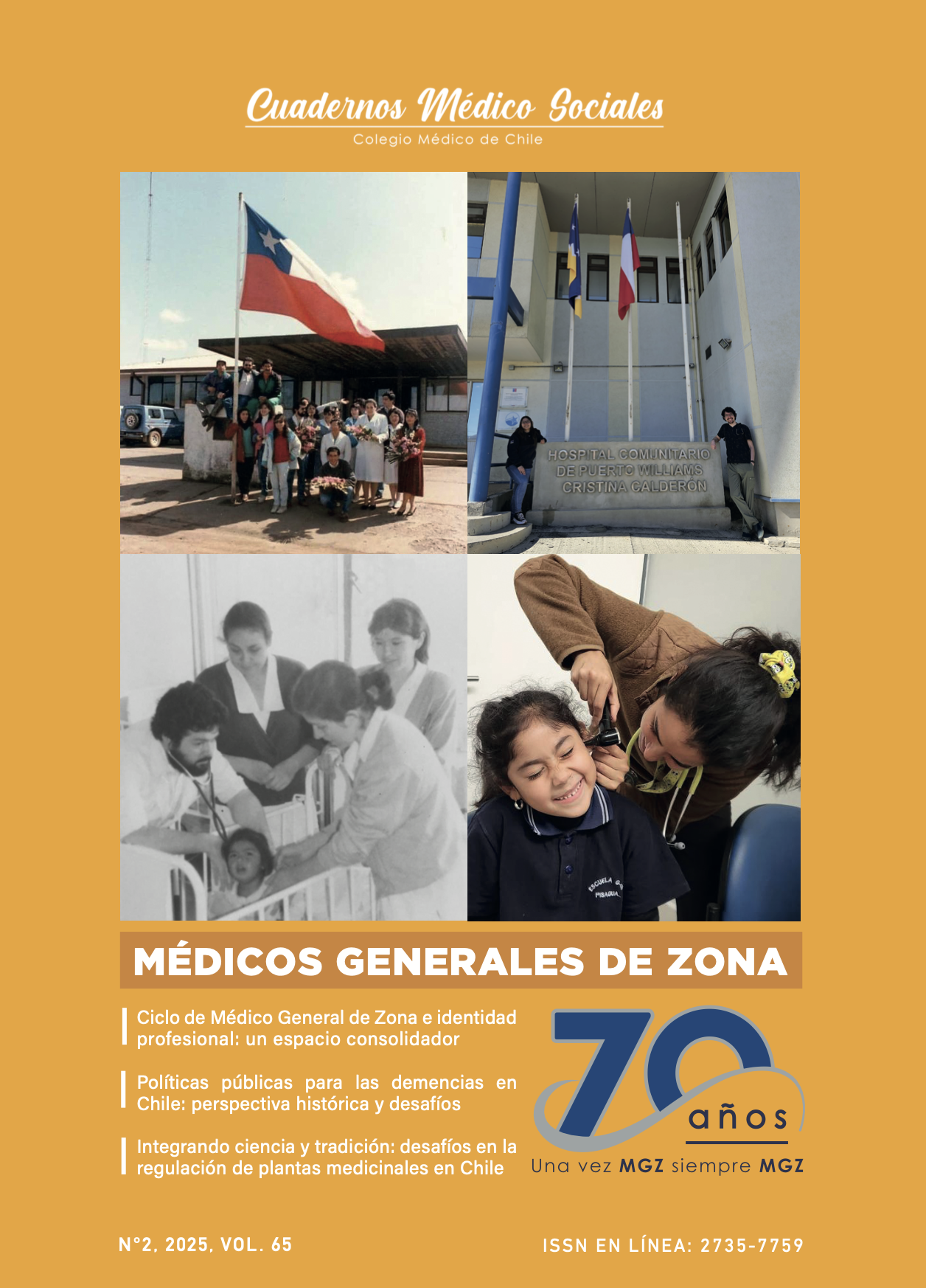 					Ver Vol. 65 Núm. 2 (2025): Cuadernos Médico Sociales
				